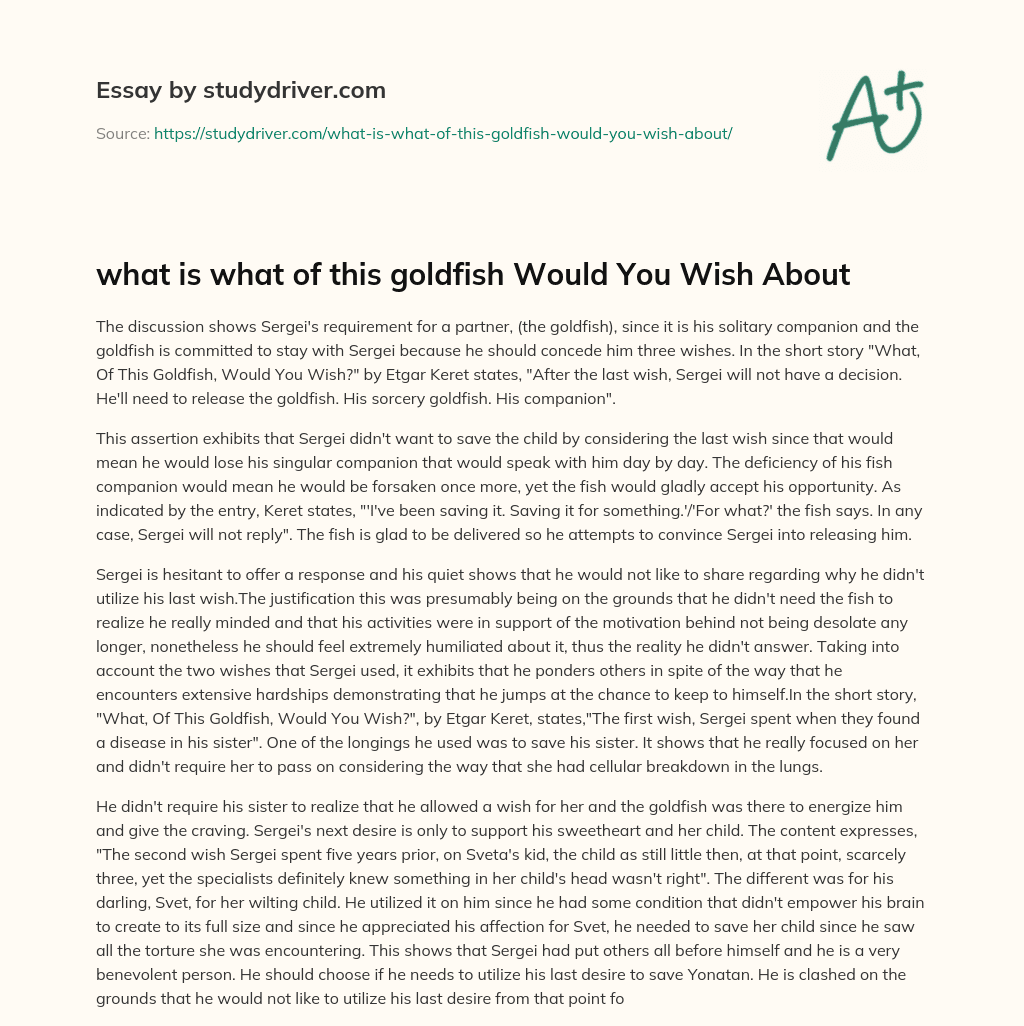 what is what of this Goldfish would you Wish about essay