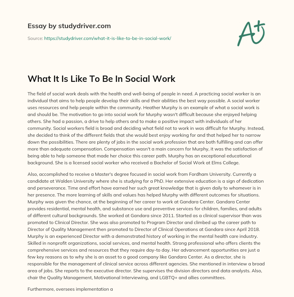 What it is Like to be in Social Work essay