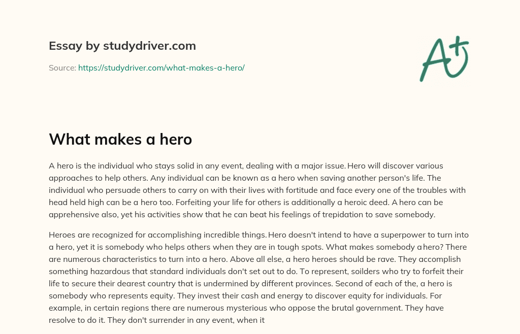 What Makes a Hero essay