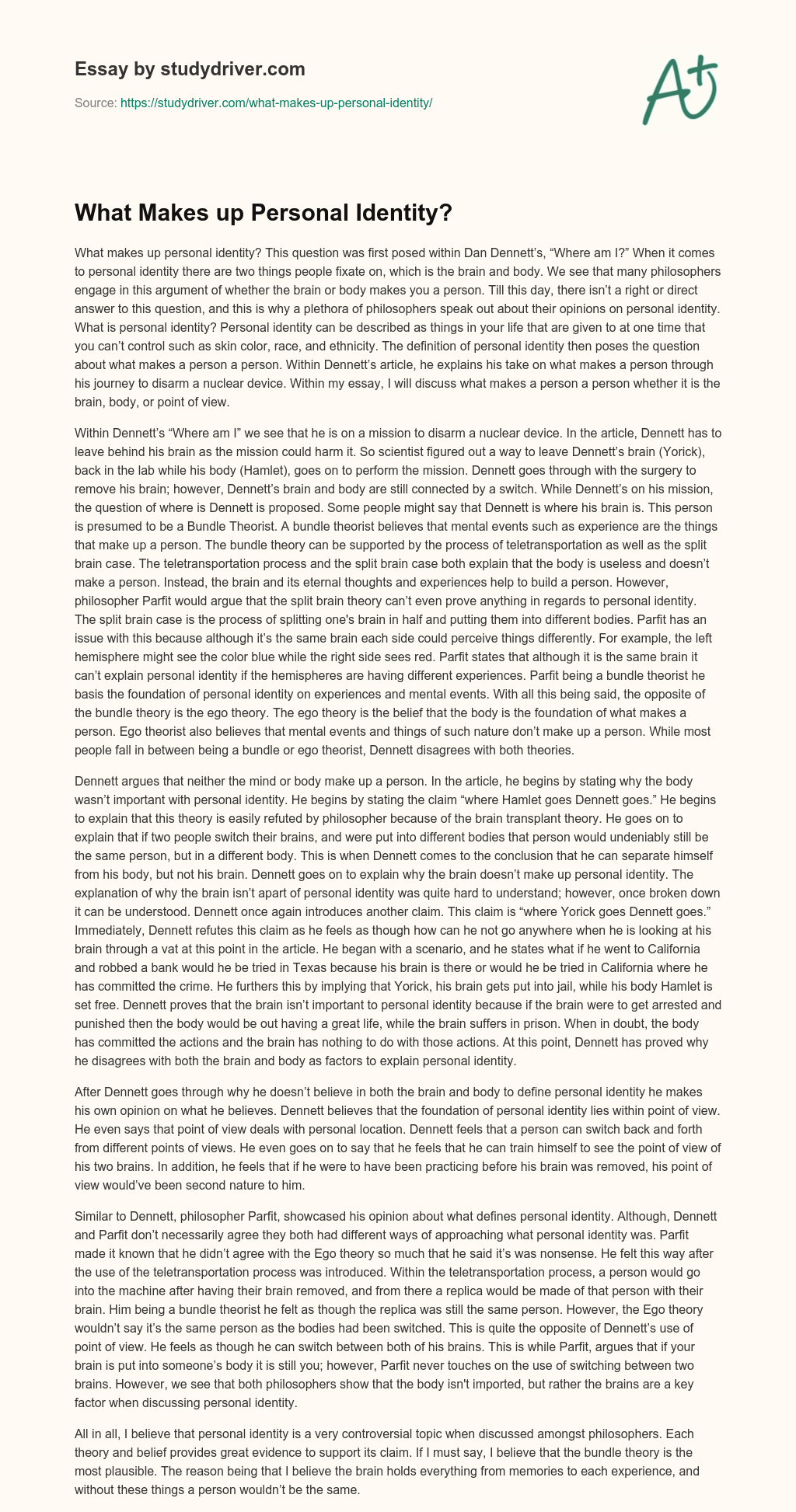 What Makes up Personal Identity? essay