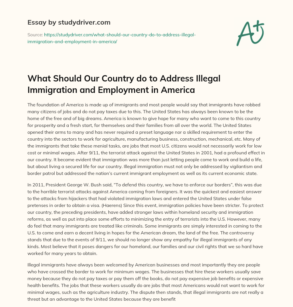 What should our Country do to Address Illegal Immigration and Employment in America essay