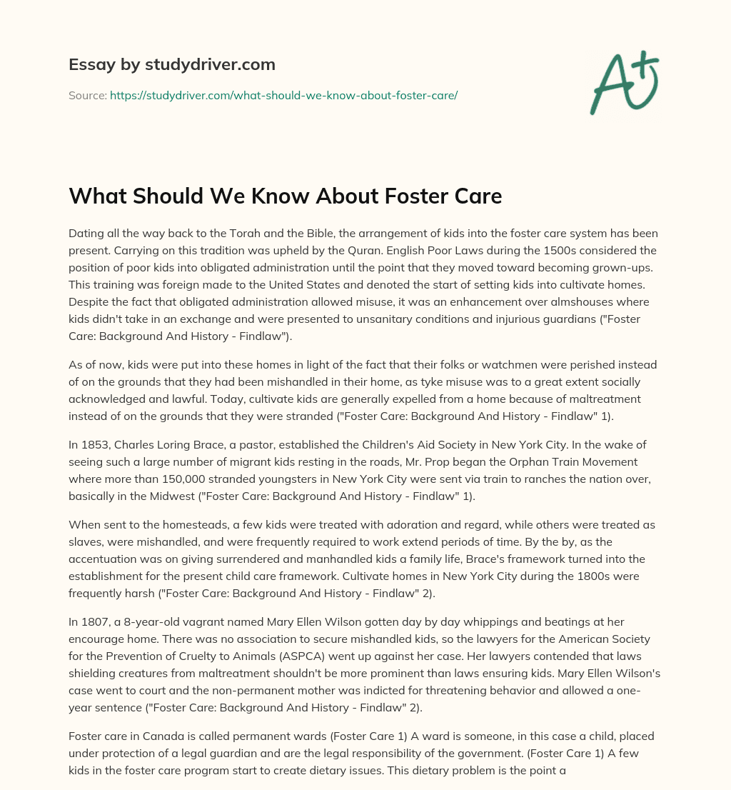 What should we Know about Foster Care essay
