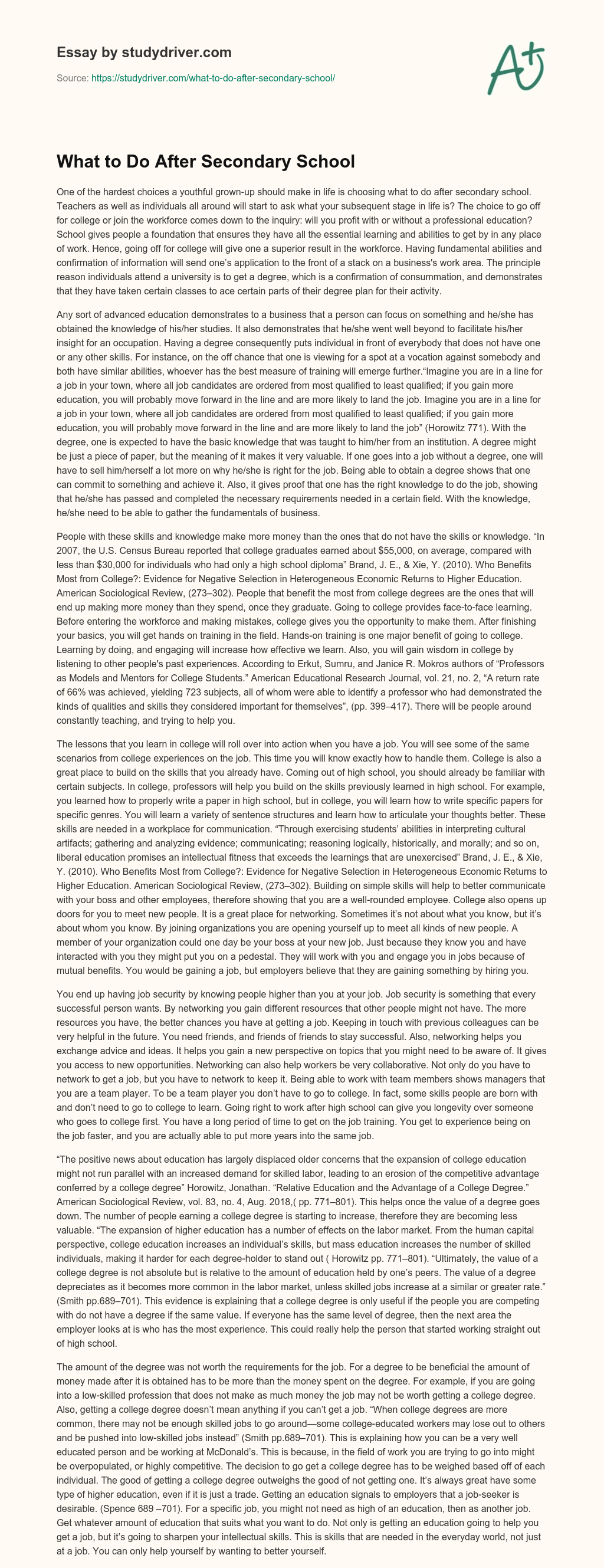 What to do after Secondary School essay