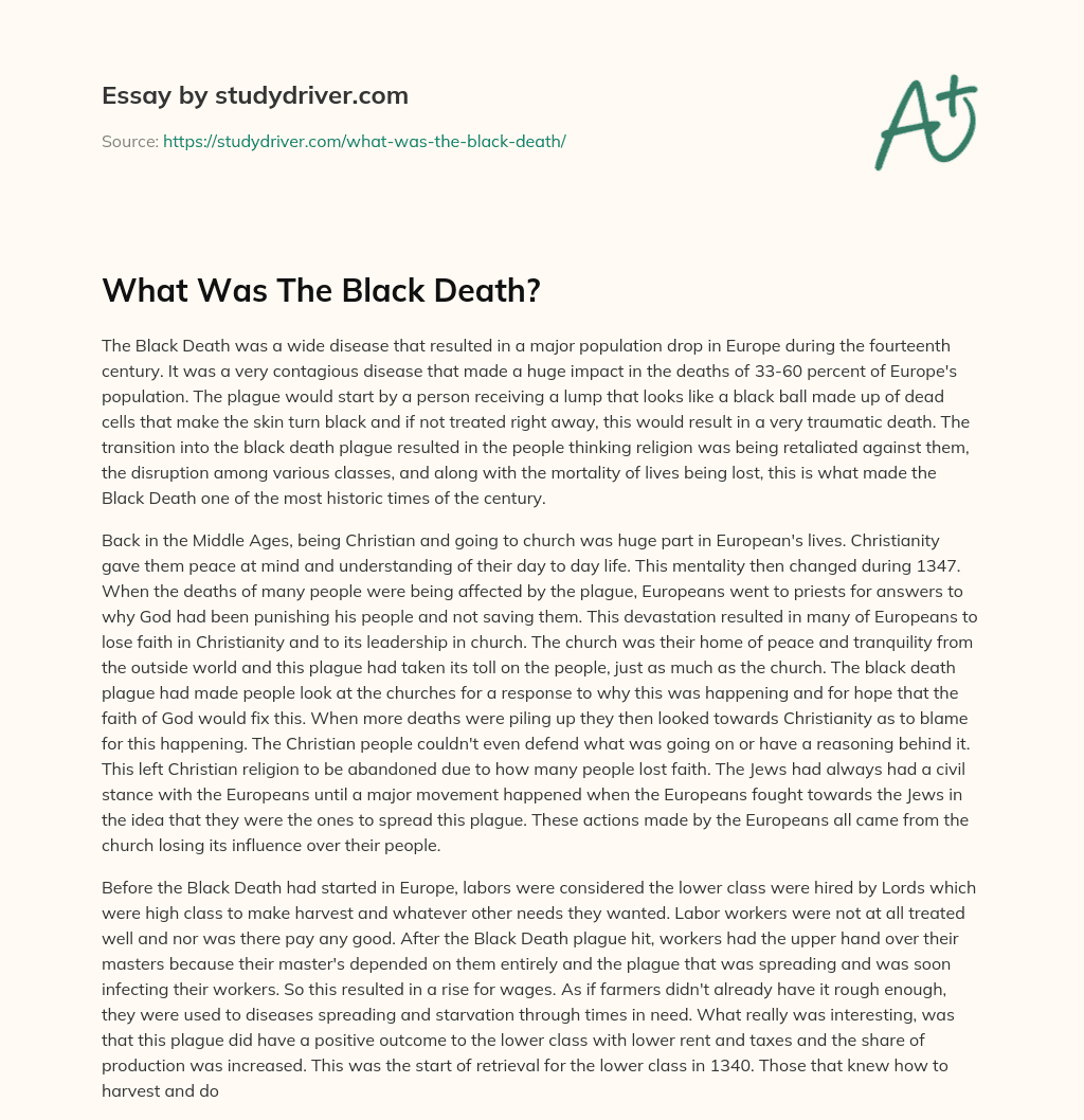 What was the Black Death? essay