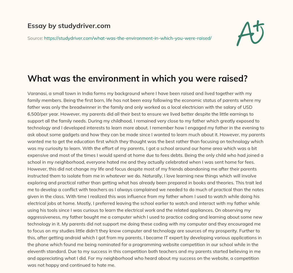 What was the Environment in which you were Raised? essay