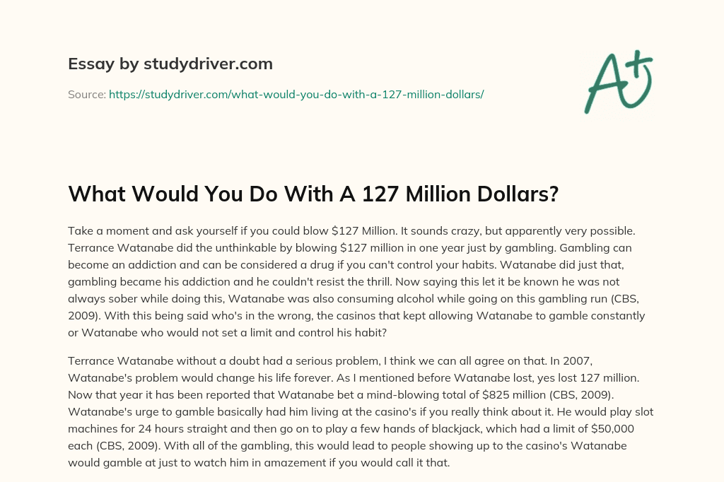 What would you do with a 127 Million Dollars? essay