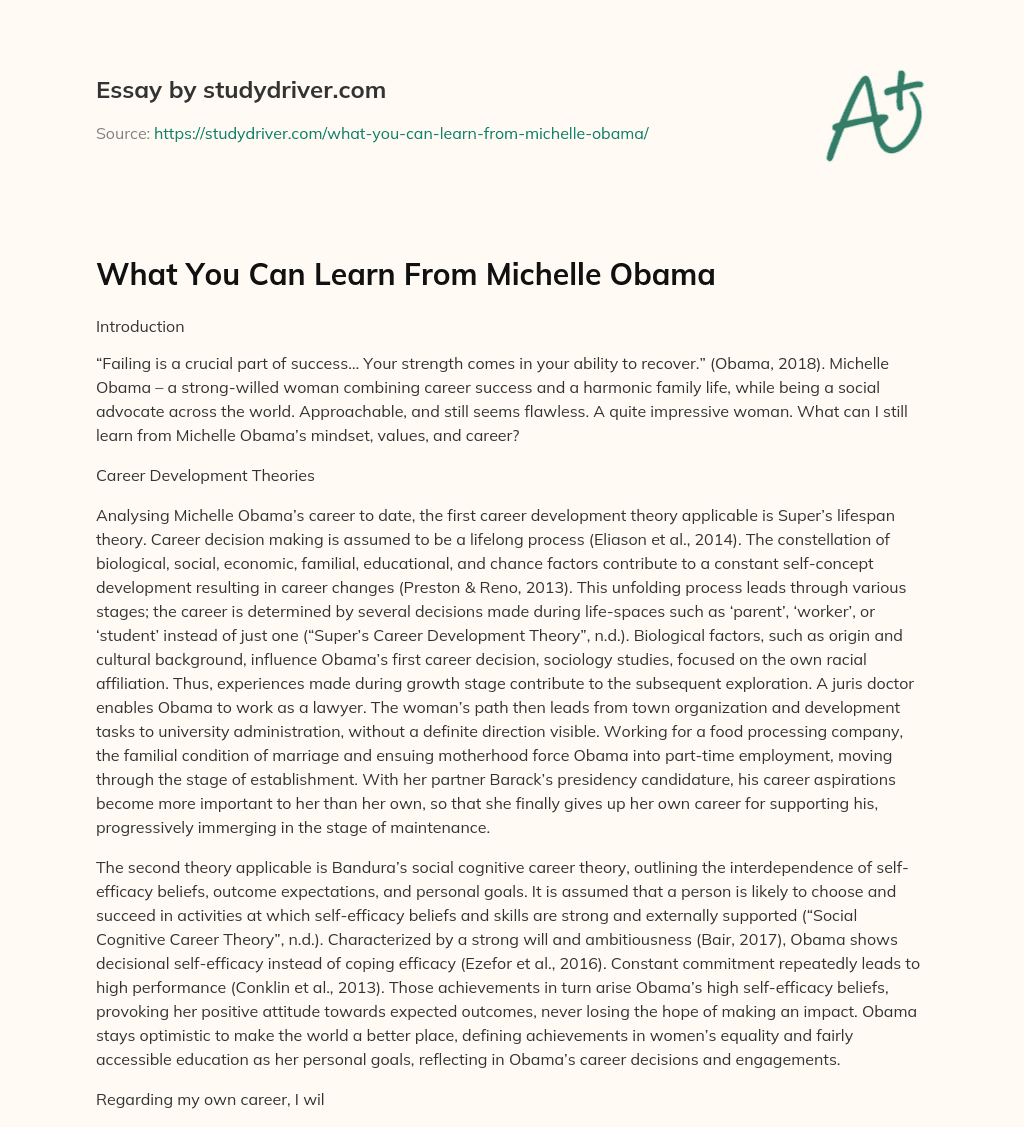 What you Can Learn from Michelle Obama essay