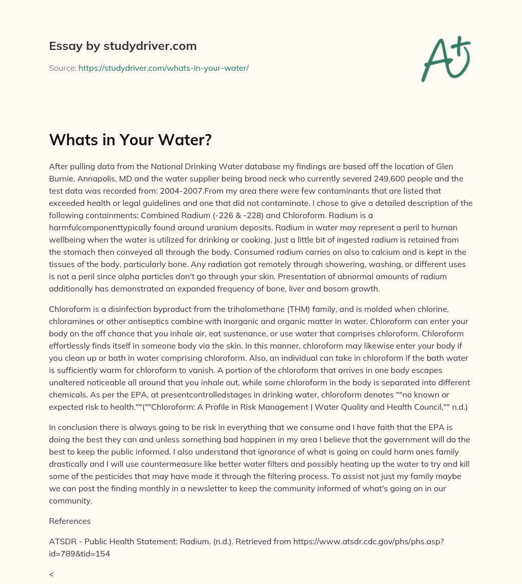 Whats in your Water? essay