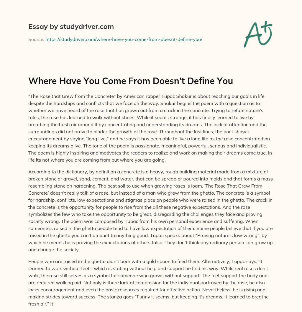 Where have you Come from Doesn’t Define you essay