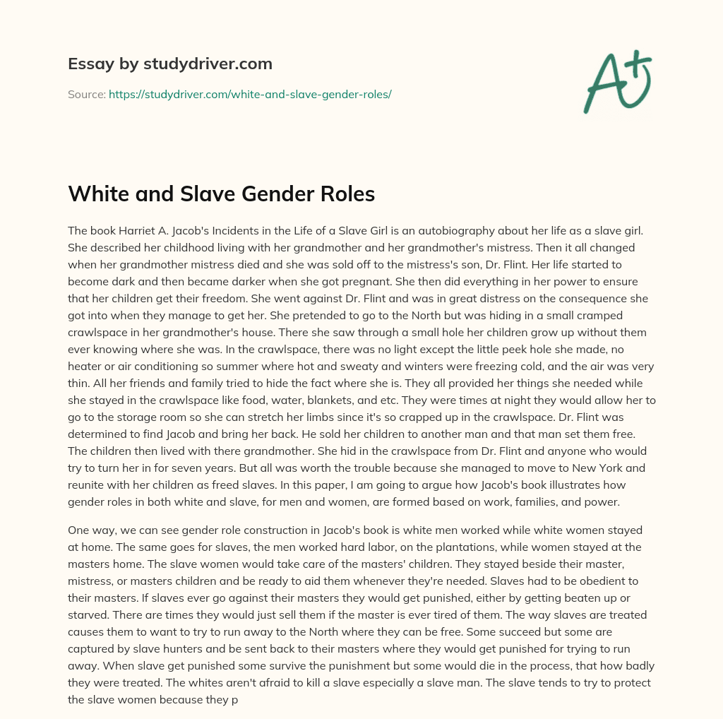 White and Slave Gender Roles essay