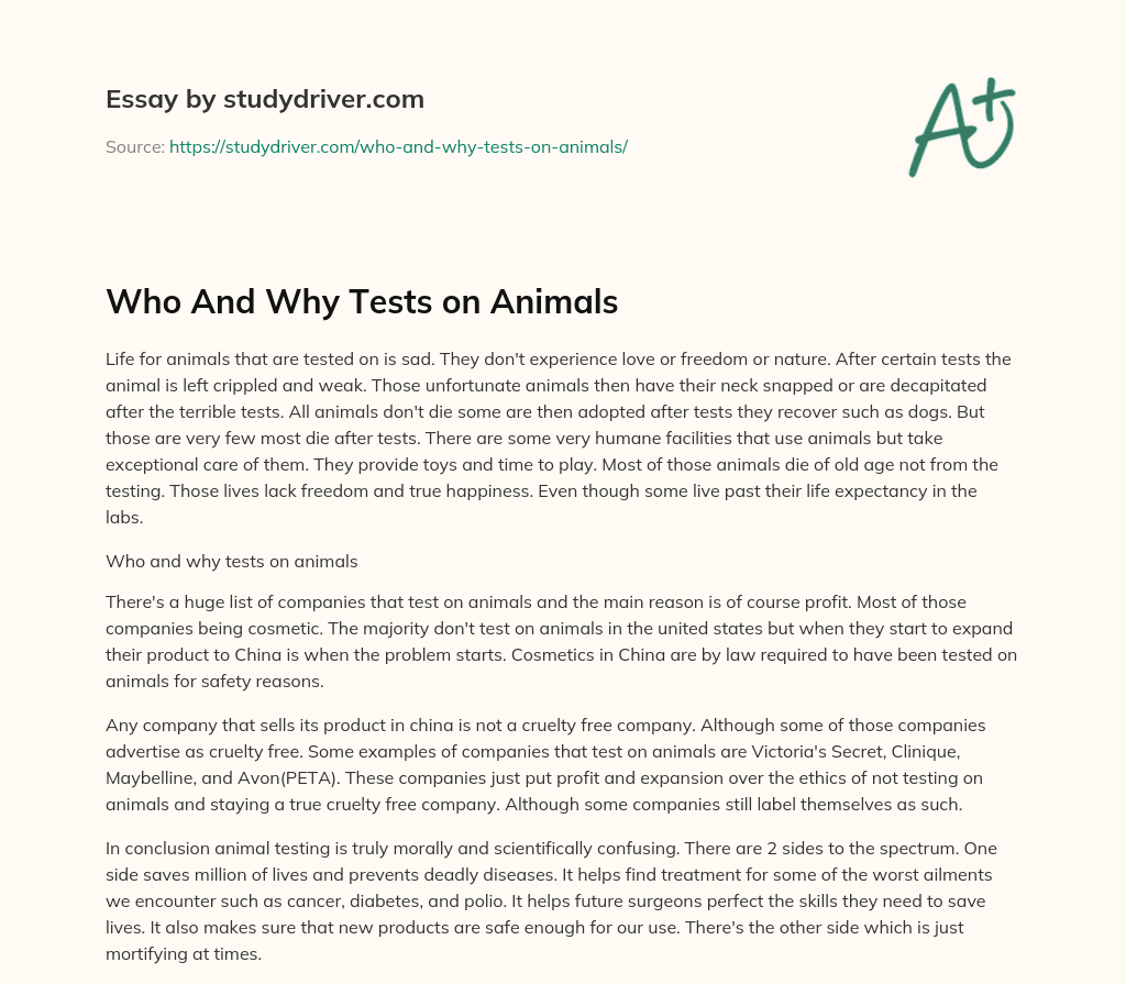 Who and why Tests on Animals essay