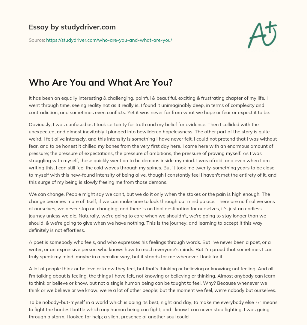Who are you and what are You? essay