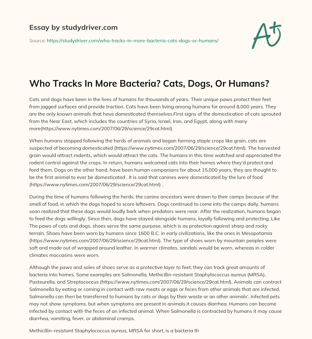 Who Tracks in more Bacteria? Cats, Dogs, or Humans? essay