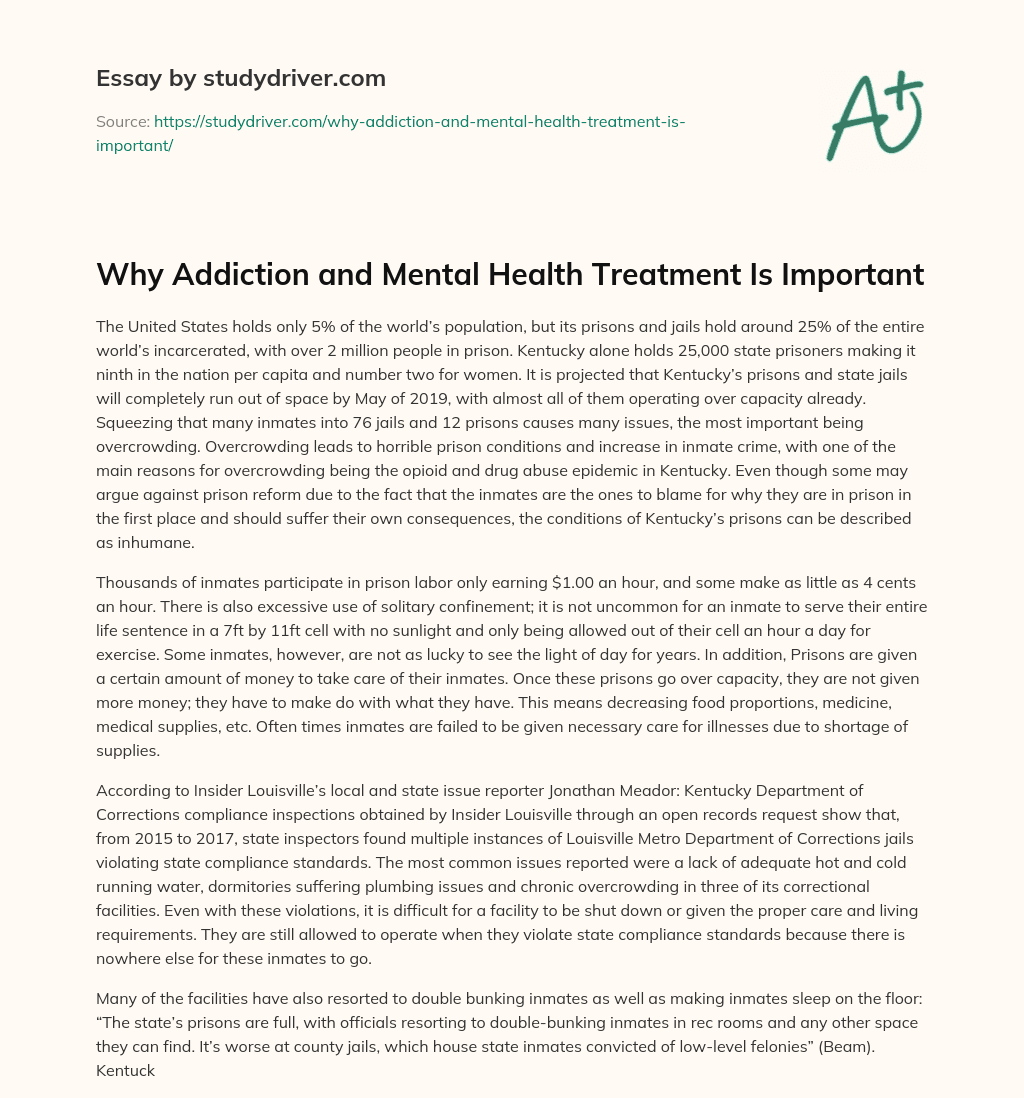 Why Addiction and Mental Health Treatment is Important essay