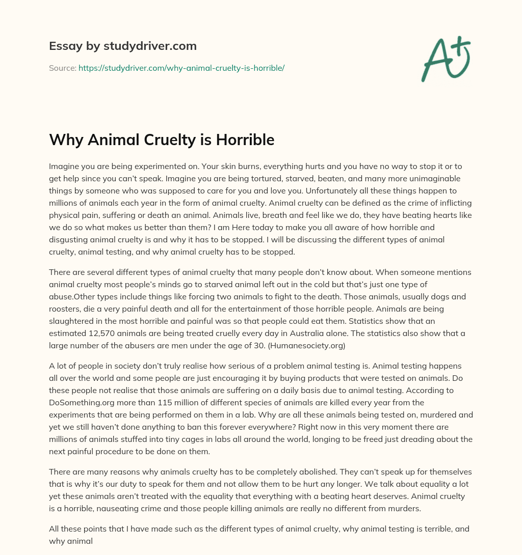 Why Animal Cruelty is Horrible essay