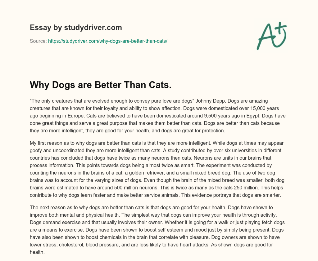 Why Dogs are Better than Cats. essay