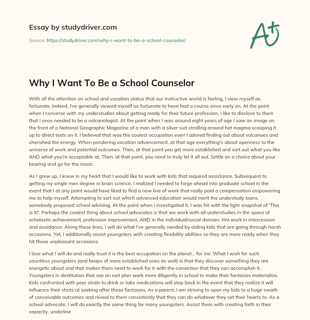 Why i Want to be a School Counselor essay