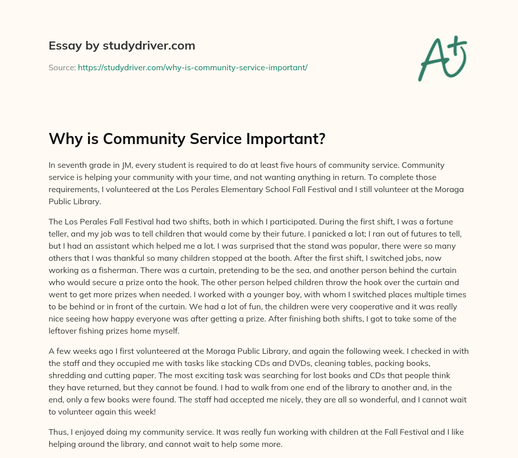 Why is Community Service Important? essay
