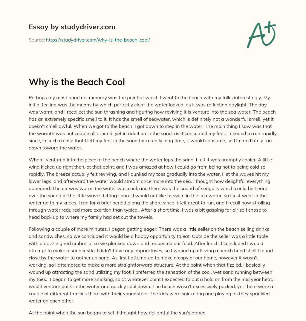 Why is the Beach Cool essay