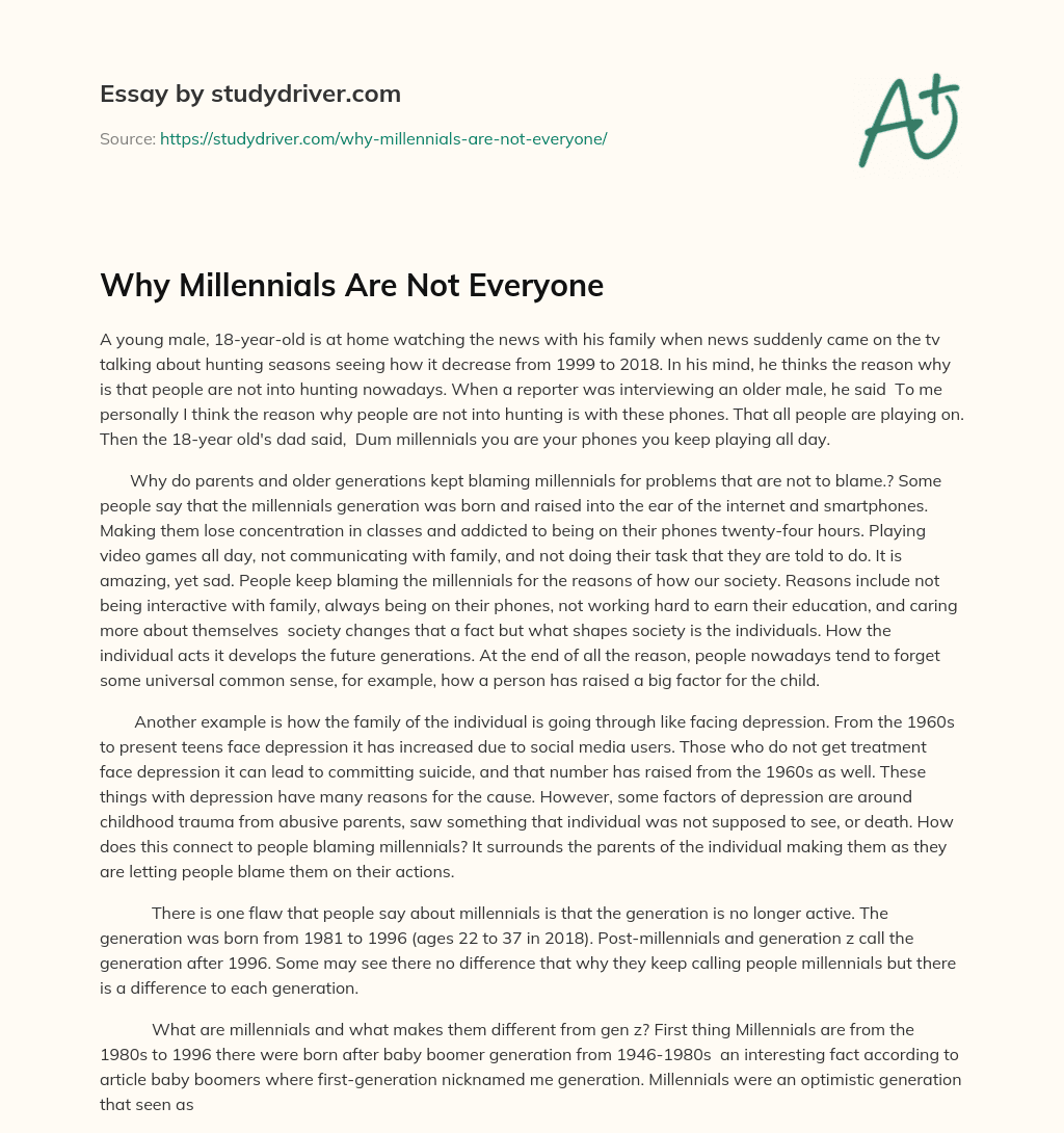 Why Millennials are not Everyone essay