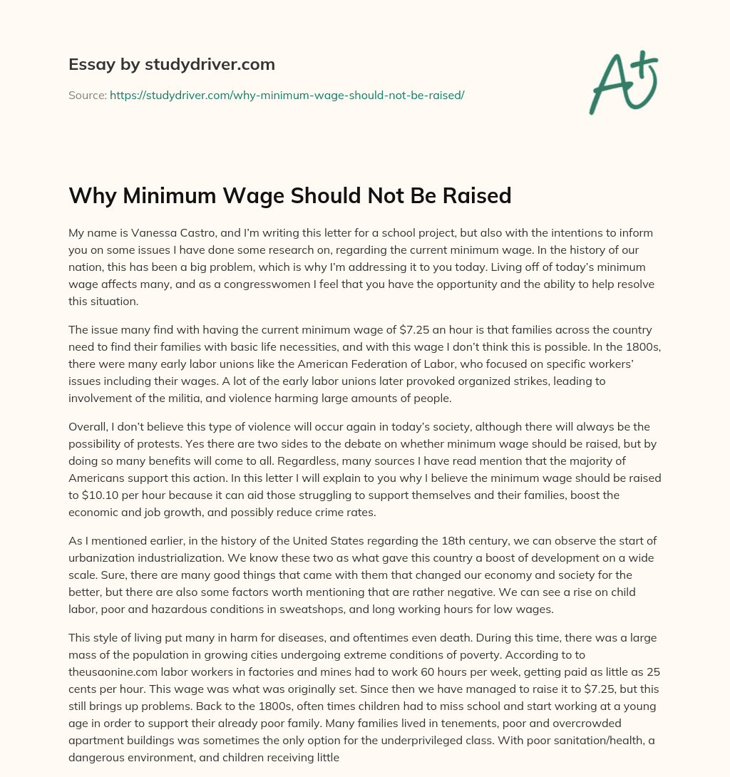 Why Minimum Wage should not be Raised essay