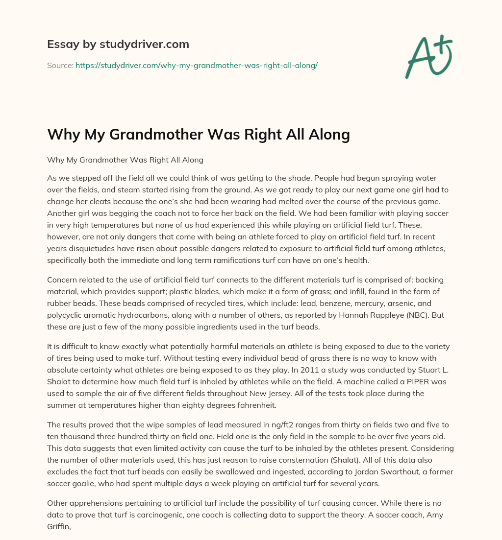 Why my Grandmother was Right all Along essay