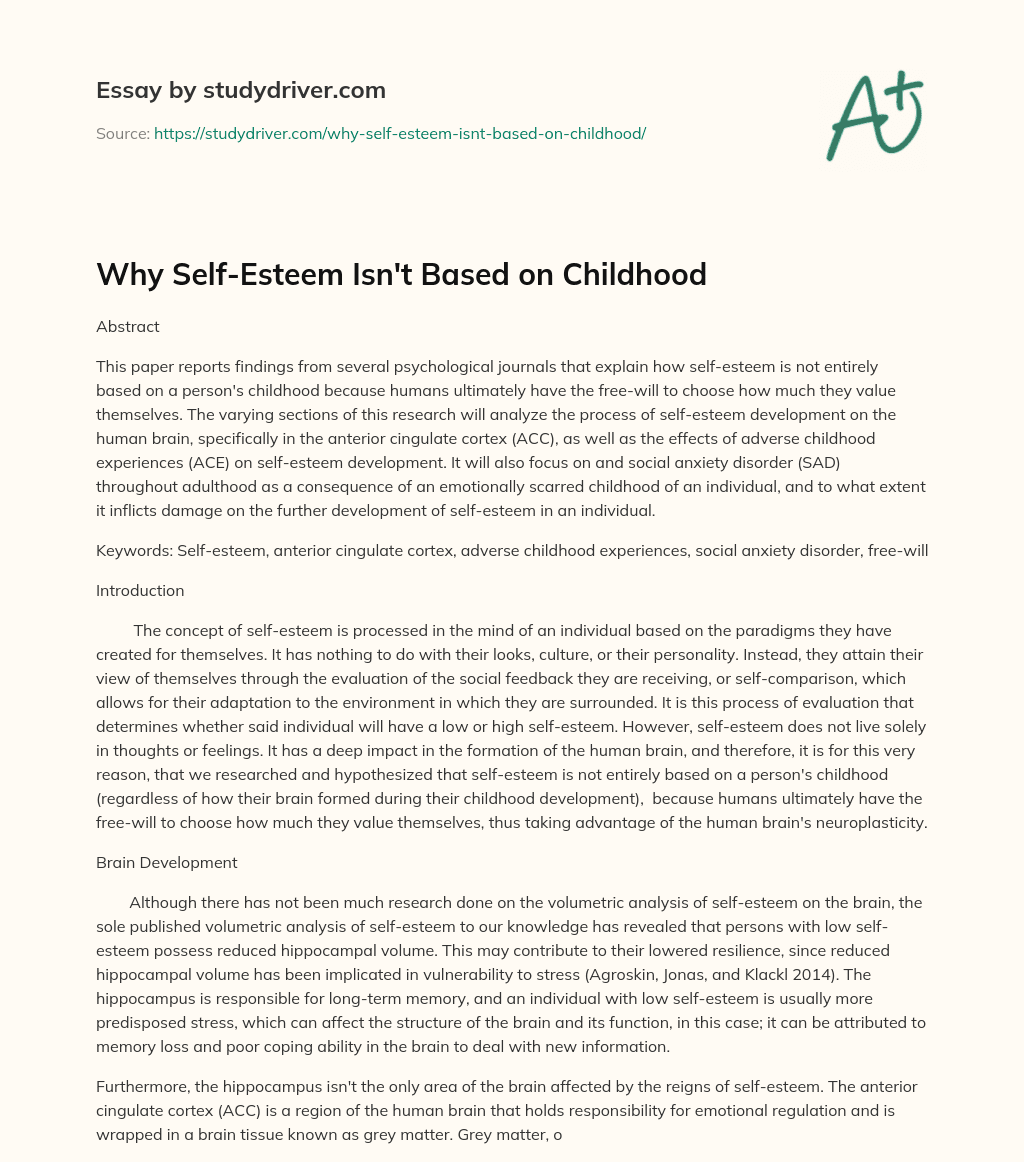 Why Self-Esteem isn’t Based on Childhood essay