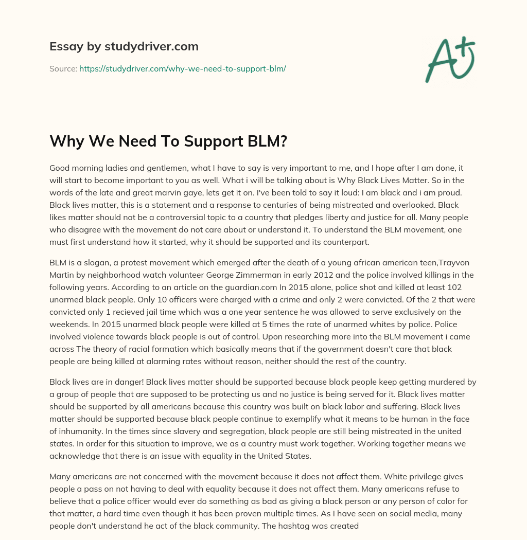 Why we Need to Support BLM? essay