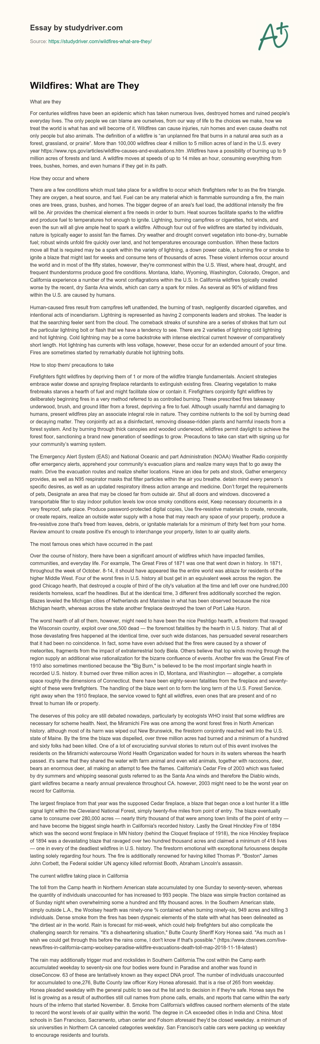 Wildfires: what are they essay