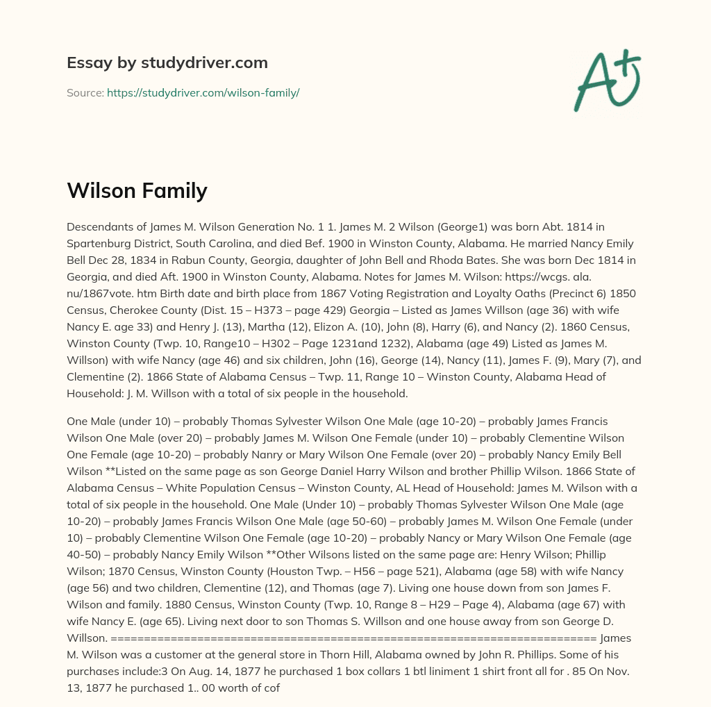 Wilson Family essay