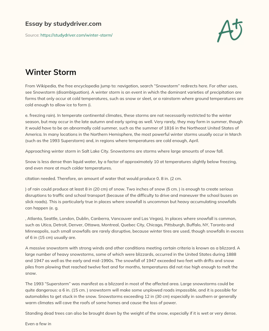 Winter Storm essay
