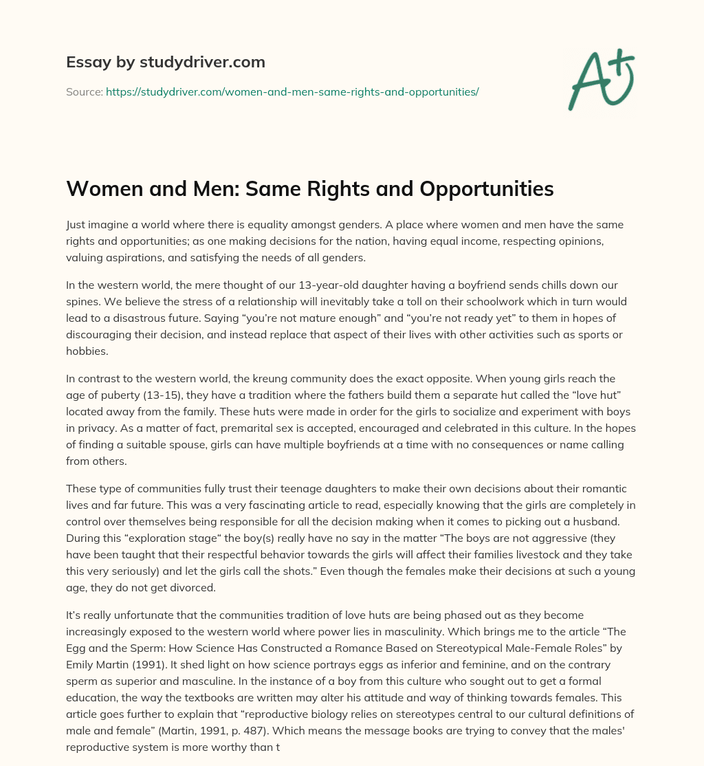 Women and Men: same Rights and Opportunities essay