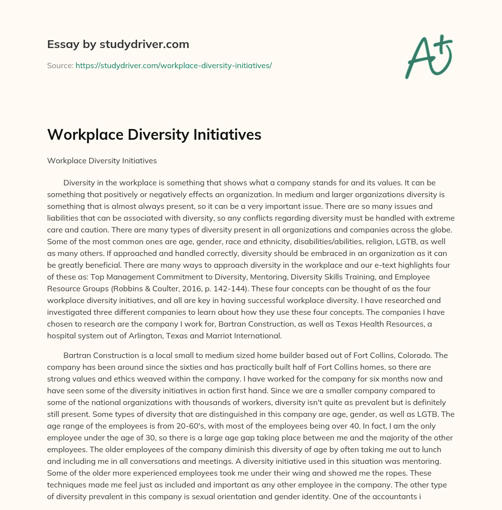 Workplace Diversity Initiatives essay