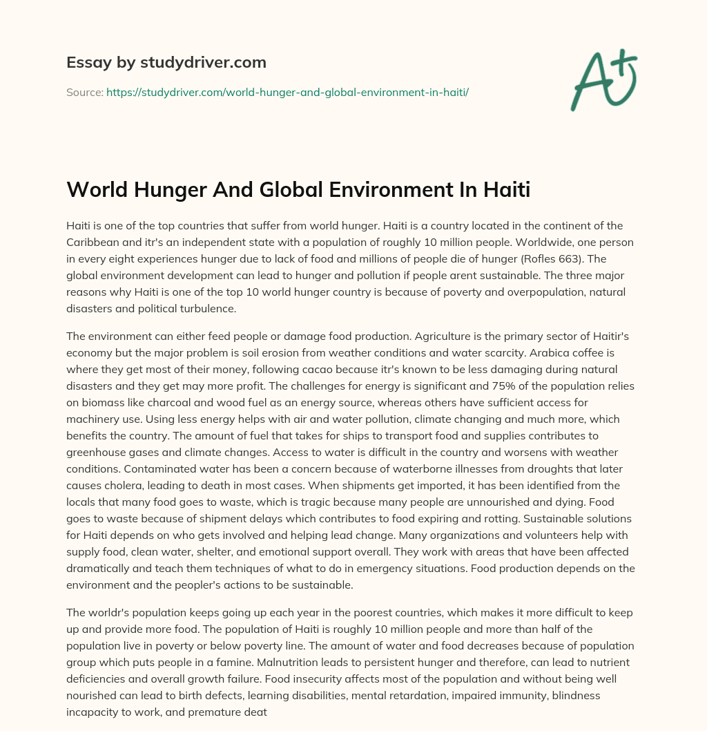World Hunger and Global Environment in Haiti essay