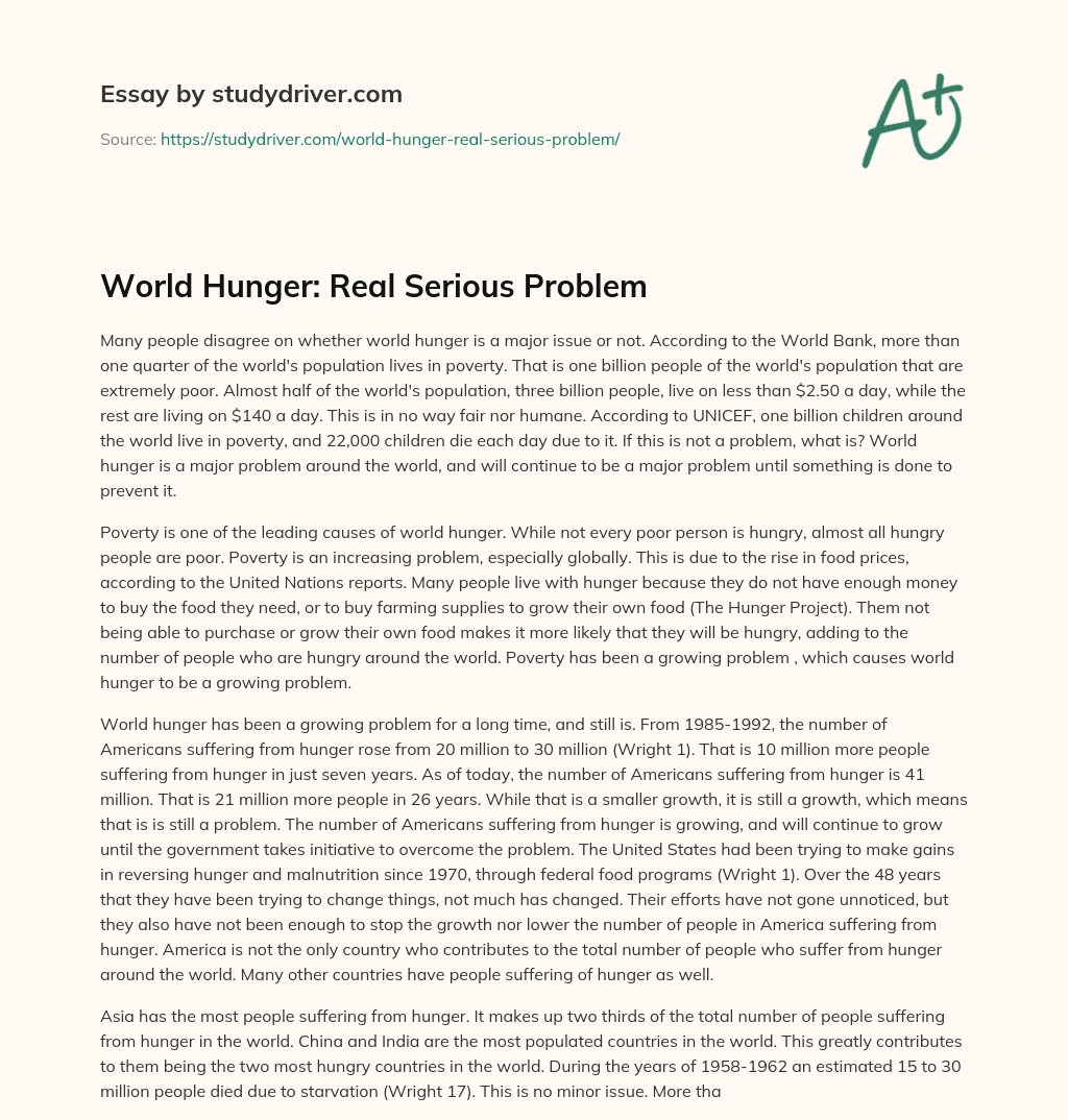 World Hunger: Real Serious Problem essay