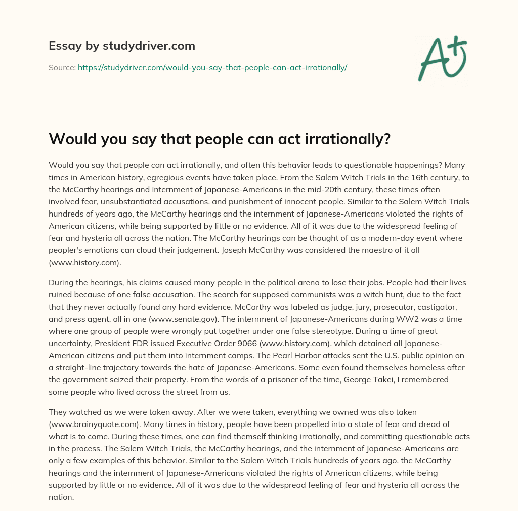 Would you Say that People Can Act Irrationally? essay