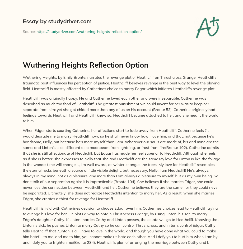 Wuthering Heights Reflection Option essay
