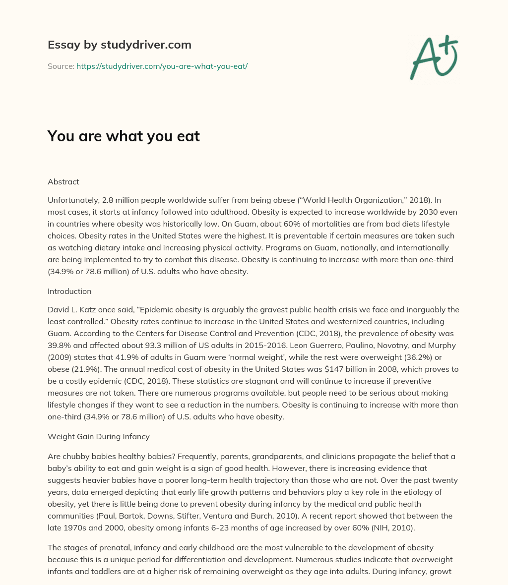 You are what you Eat essay