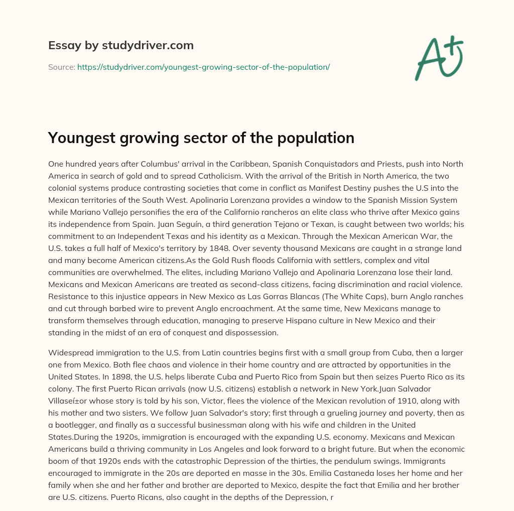 Youngest Growing Sector of the Population essay
