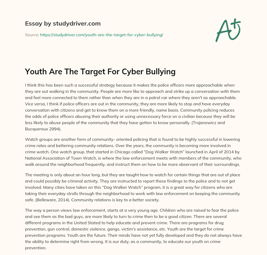 Youth are the Target for Cyber Bullying essay