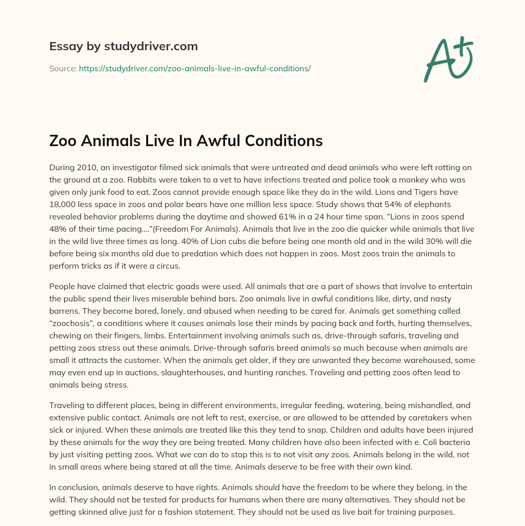 Zoo Animals Live in Awful Conditions essay
