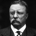 Theodore Roosevelt Essay