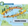 Columbian Exchange Essay