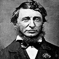 Henry David Thoreau Essay