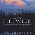 Into The Wild Essay