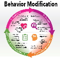 Behavior Modification Essay