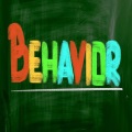 Behavior Essay