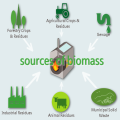 Biomass Essay