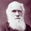 Charles Darwin Essay