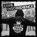 Civil Disobedience Essay